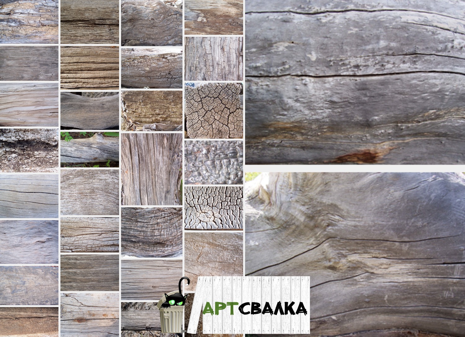 Текстура коры дерева. Часть 1 | Texture of tree bark. Part 1